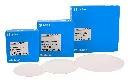 Gemini_Generated_Image_wekgjwekgjwekgjw.webp